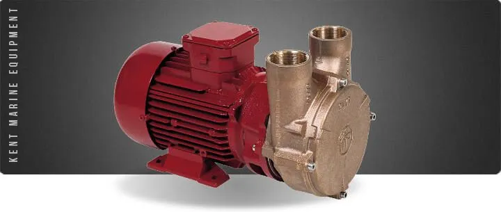 Electropompes eau / gasoil Forani série AM