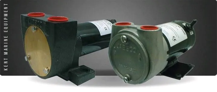 Pompes de transfert et vidange huile - gasoil Jabsco