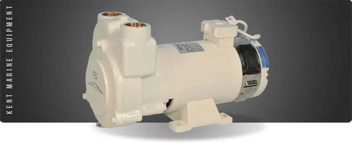 Electropompe eau / gasoil Gianneschi - Série CP