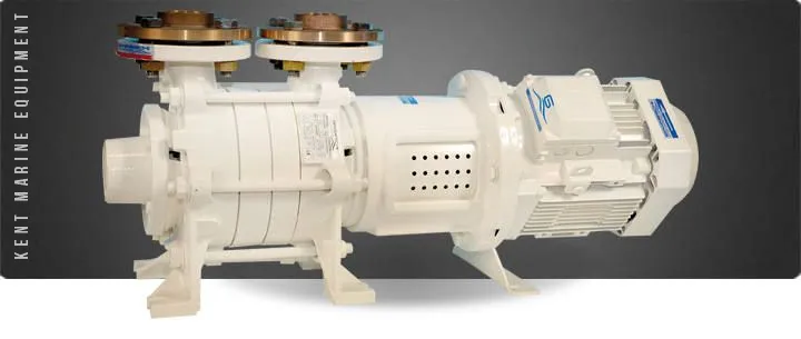 Electropompe eau / gasoil Gianneschi - Série ACM