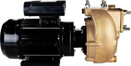 Electropompe AM40D5 230V monophasé