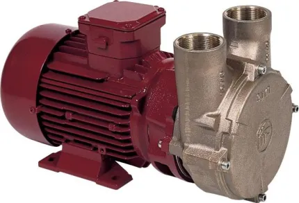 Electropompe PC25 24V