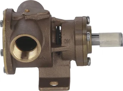 Pompe arbre nu sur support Série 52080