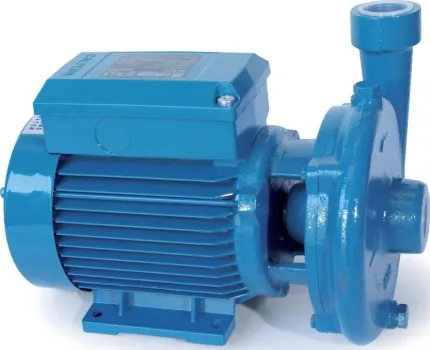 Pompe Eau de mer 0,15kW 230V