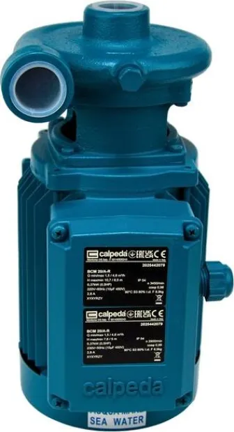 Pompe Eau de mer 0,37kW 230V
