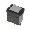Disjoncteur bipolaire 10A type 3130 24V