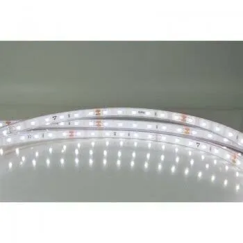 Bande LED 12V blanc chaud 8mm IP54