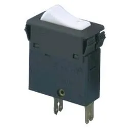 Disjoncteur bipolaire 10A 220V (3130)