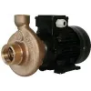 Electropompe CT25 24V