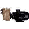 Electropompe Forani Série AM40 230/400V