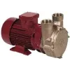 Electropompe PC25