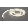 Ruban LED néon flexible 24VDC 4000K 5m